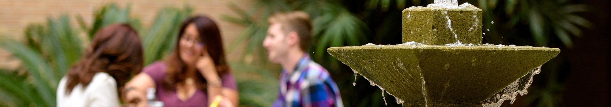Image of people meeting outdoors